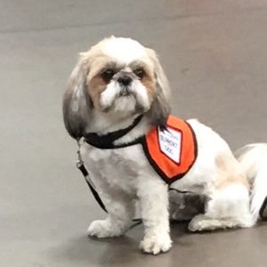 Meet your Posher, Irma